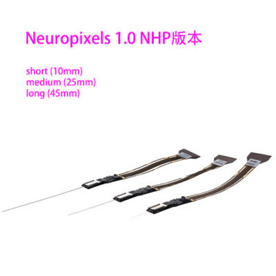 Neuropixels NHP电极 - 长擎科技